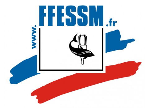 Logo ffessm